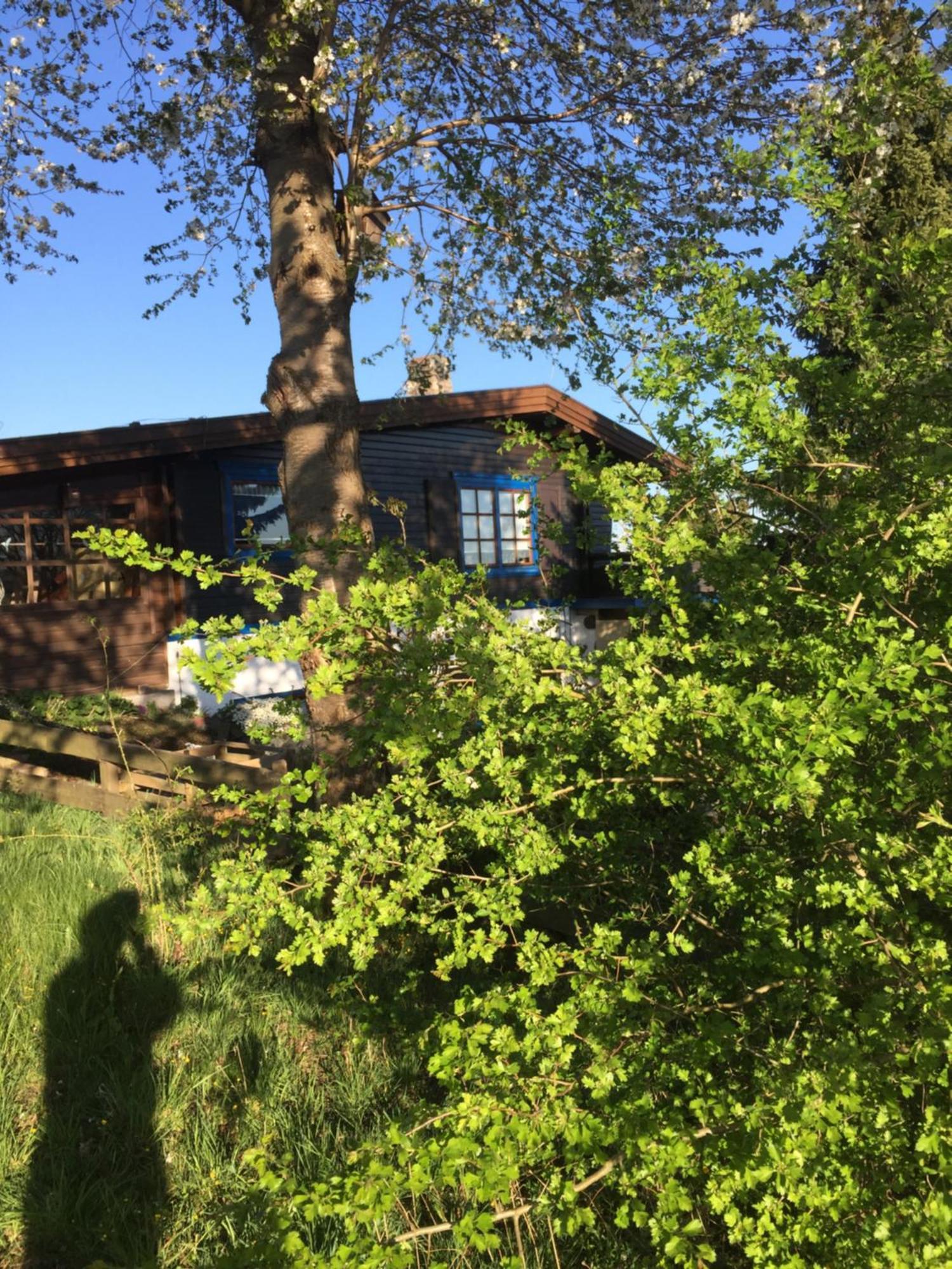 Natur Pur Mit Fernblick Fuer Wanderfreunde Bad Sachsa Εξωτερικό φωτογραφία